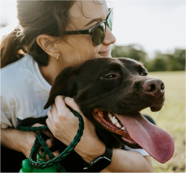 Imagen coberturas mascotas